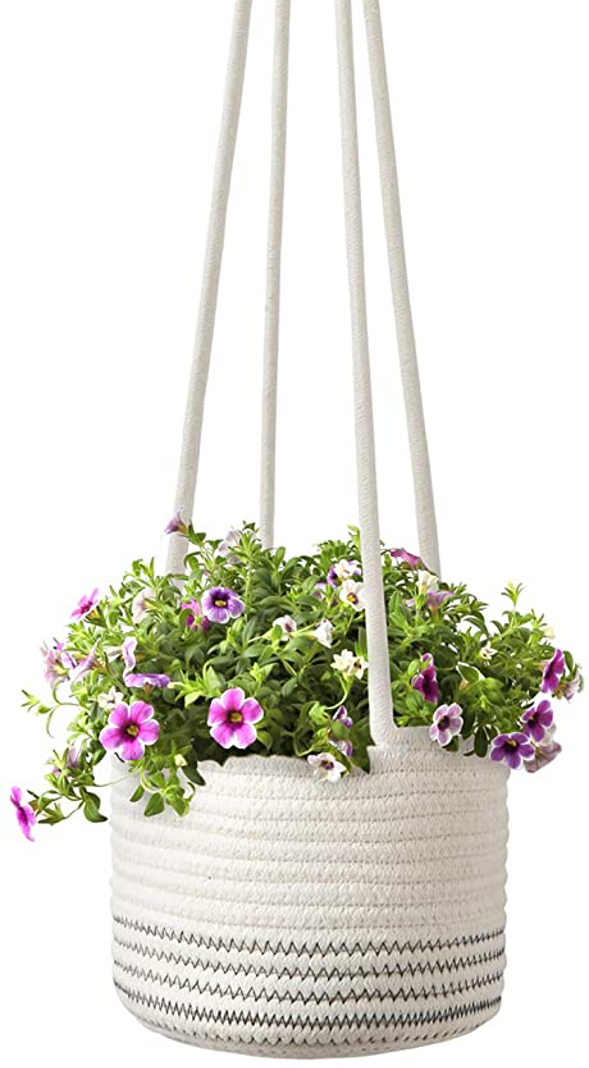 designersterracotta.com Product Picture