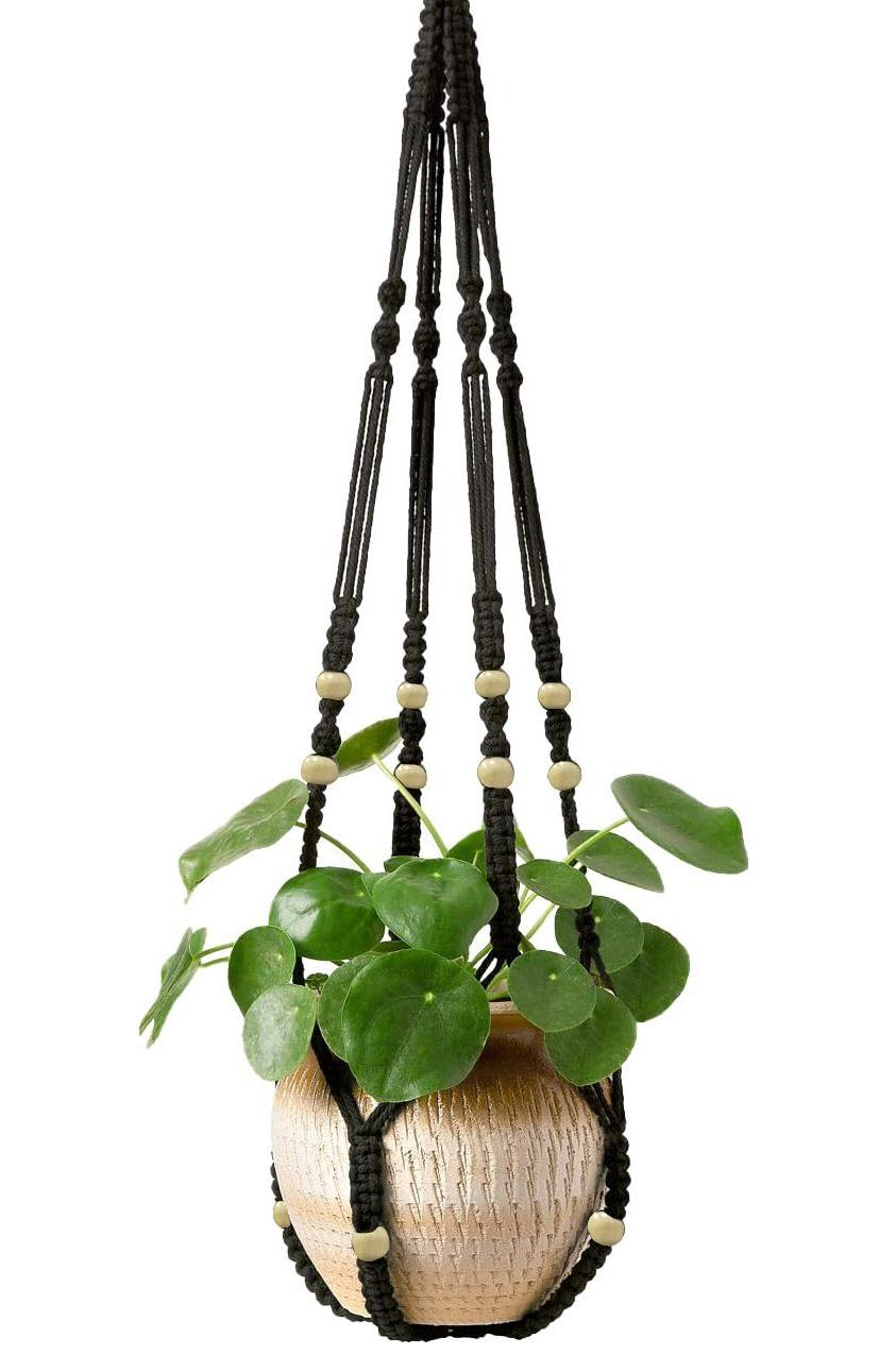 designersterracotta.com Product Picture